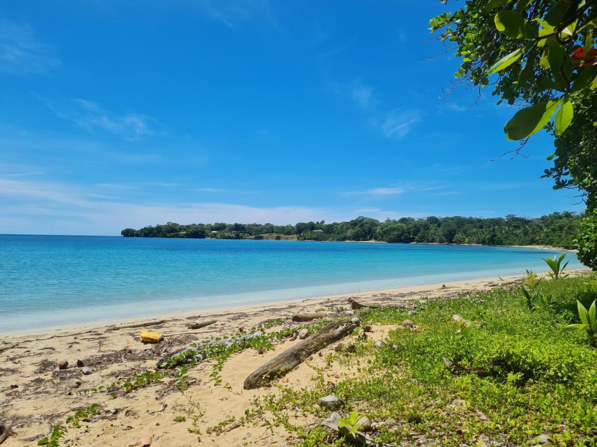 Drago Beach House - Private Beach Boca del Drago Εξωτερικό φωτογραφία