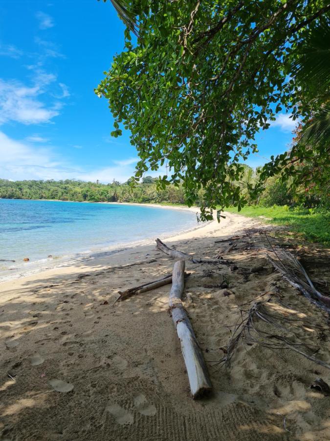 Drago Beach House - Private Beach Boca del Drago Εξωτερικό φωτογραφία