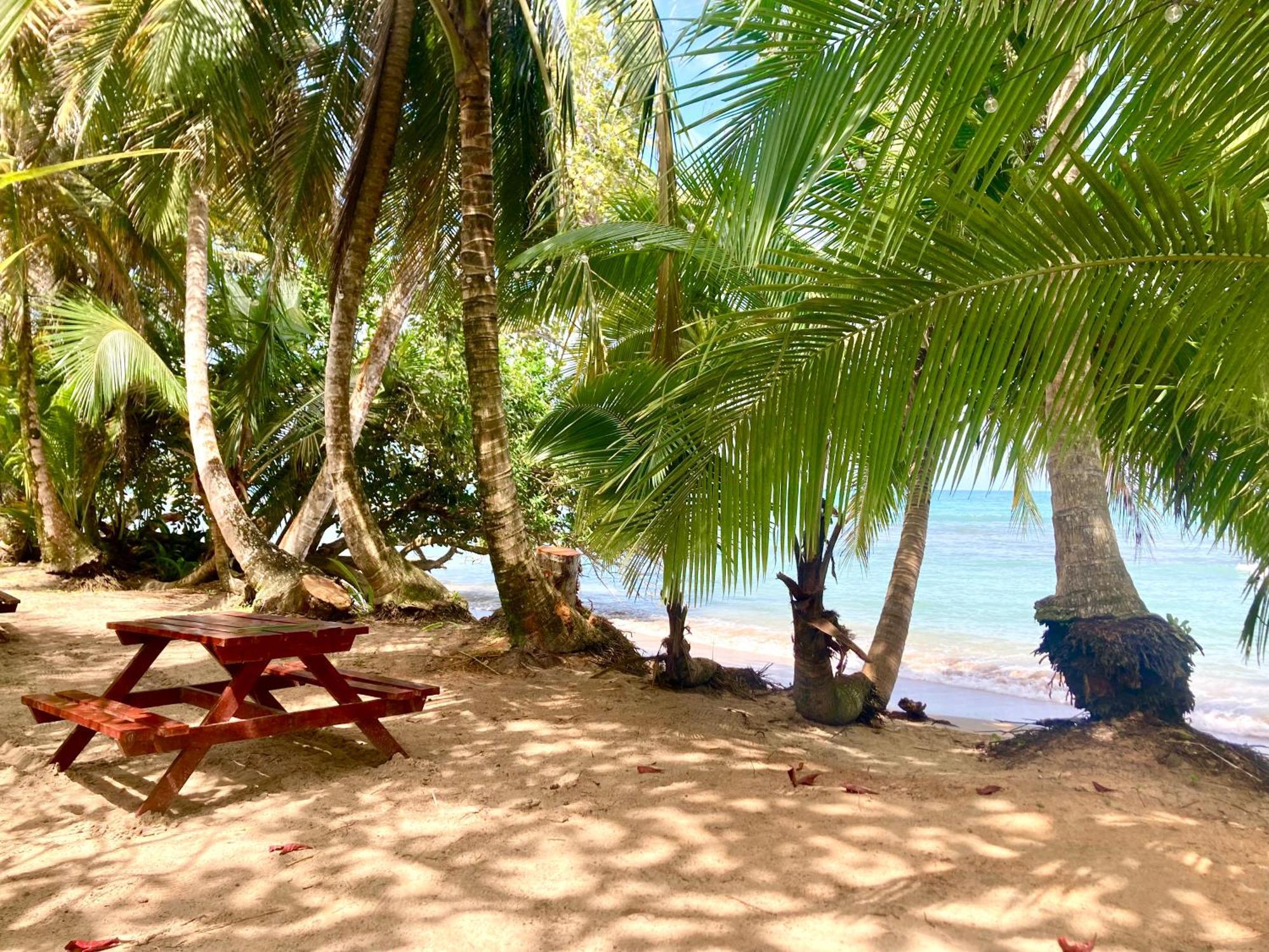 Drago Beach House - Private Beach Boca del Drago Εξωτερικό φωτογραφία