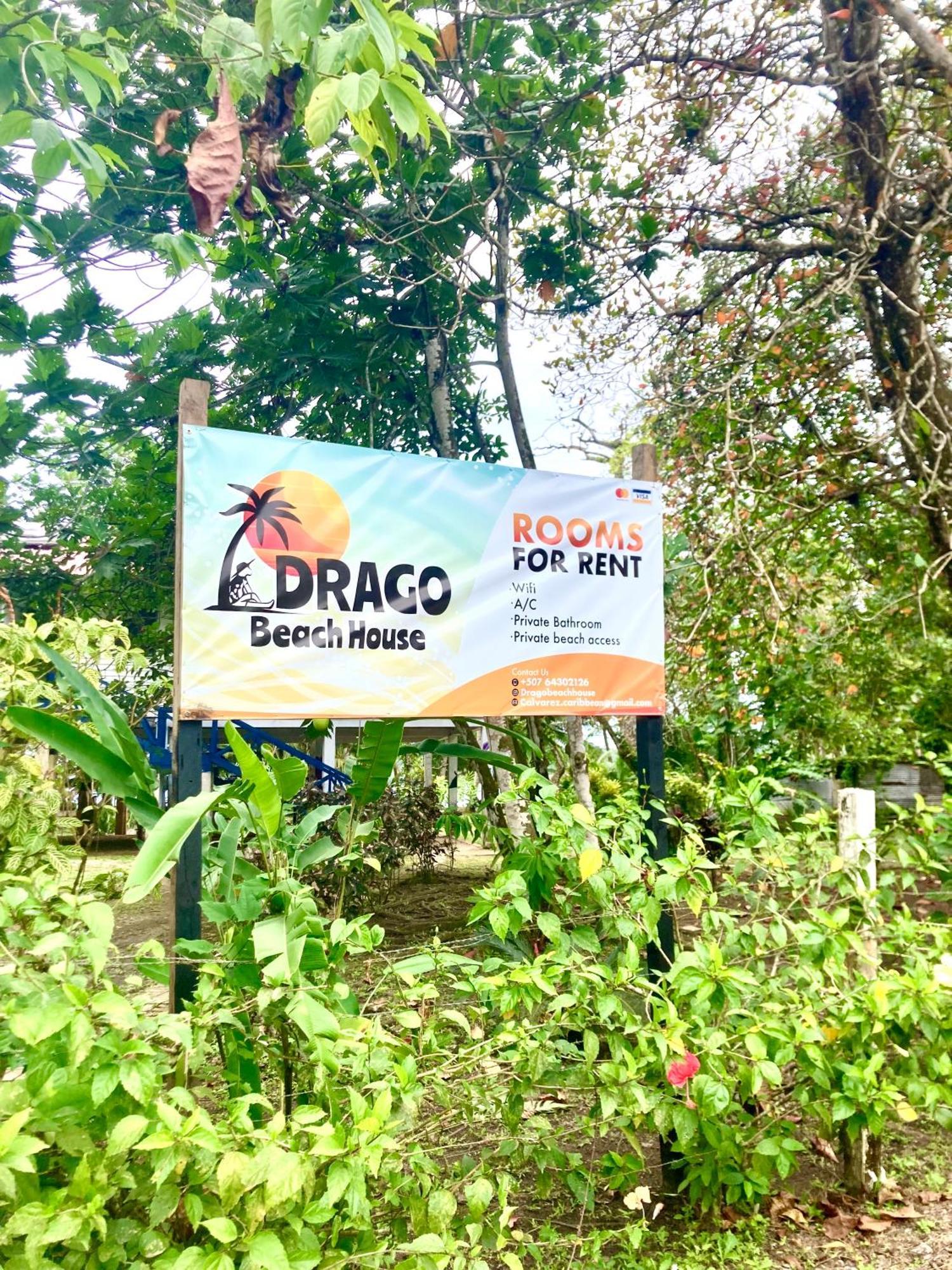 Drago Beach House - Private Beach Boca del Drago Εξωτερικό φωτογραφία