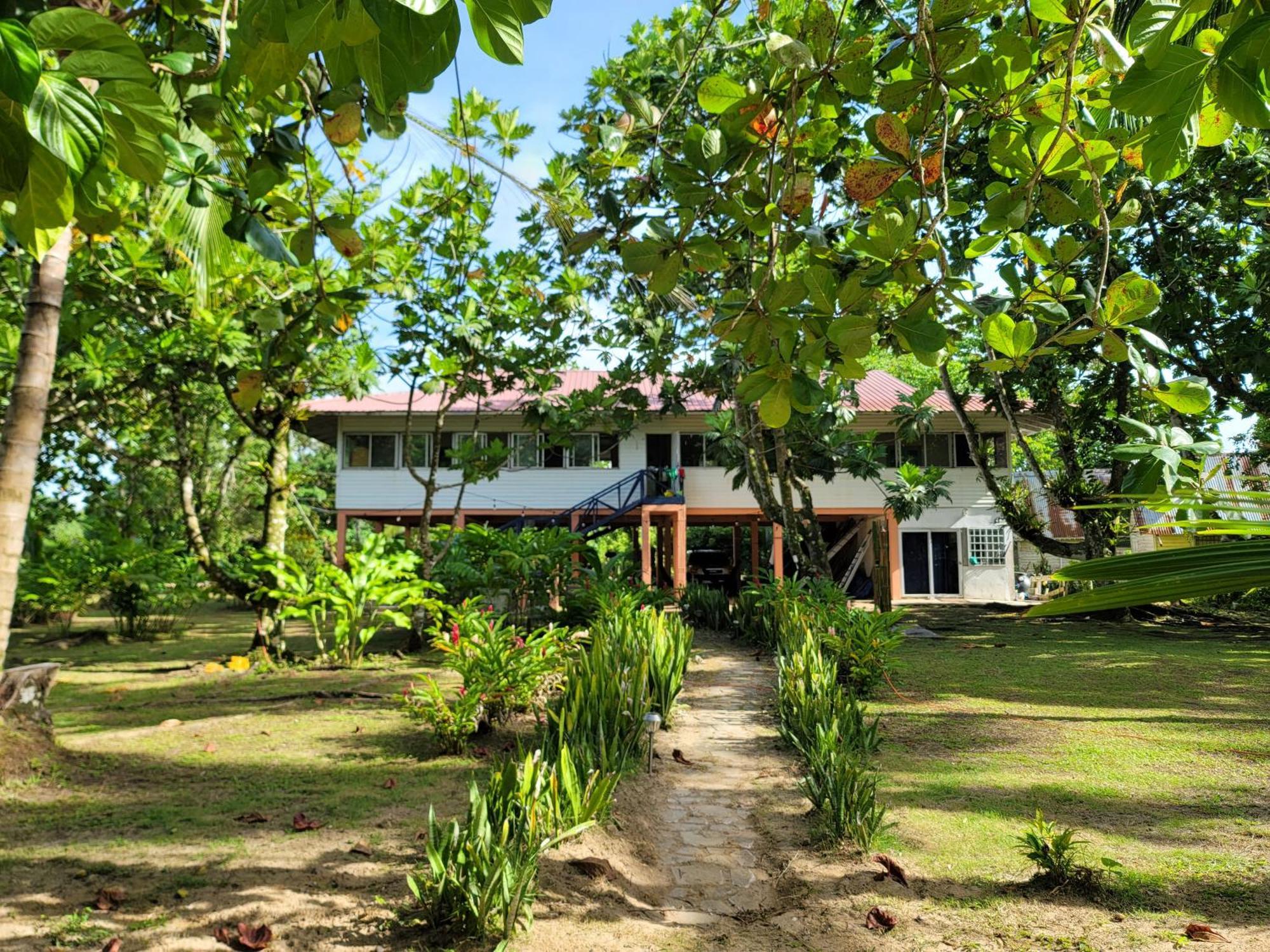 Drago Beach House - Private Beach Boca del Drago Εξωτερικό φωτογραφία